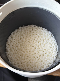 外国人「米を炊いたらAIみたいな質感になったんだが何故なんだ…？」