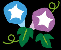 娘がもらってきた朝顔がやたら成長してる…いつか枯れるの？それとも枯らすの？