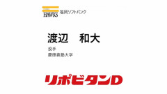 ホークス　3巡目指名「渡辺 和大」投手 慶應義塾大学