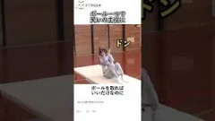 ボール一つで笑いの主役に