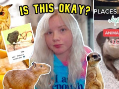 外国人「野生動物カフェは絶対に避けるべき」Hazel Sodaが動物カフェの問題を語ってる
