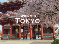 外国人「私もいつか訪れたい」Riri Travelsが桜の季節の東京を歩いて案内してる