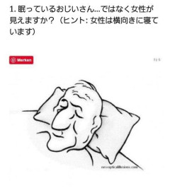 【画像】見る人によって老人に見えたり美女に見えたりするらしい