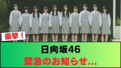 【日向坂46】緊急のお知らせ…
