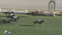 【新潟牝馬S】シャドウメテオ&三浦騎手がキタ━━━━(゚∀゚)━━━━!!