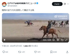【朗報】キモい走り方の馬、ガチで見つかるｗｗｗｗ