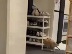 可愛い彼女はイタズラ好きだった。その瞬間を現行犯で見つかってしまう！ → こんな顔になりました…