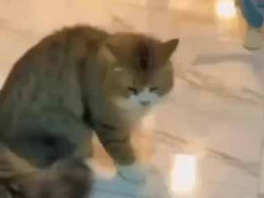 恐ろしい殺人鬼が近づいてきた。執拗に襲ってくる！ → こんな姿です…