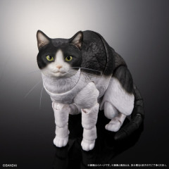 【朗報】「いきもの大図鑑プレミアム 猫」可動フィギュアが登場！