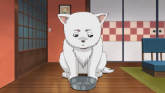 【画像】セブンイレブン、とんでもないトラップを仕掛けてしまう