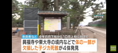 【闇深】体の一部がない子鹿の死骸4体、発見される。人の仕業か・・・