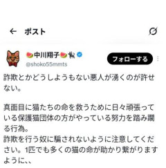 【悲報】中川翔子さん「詐欺とかどうしようもない悪人が許せない。」ｗｗｗｗｗｗｗｗｗｗ