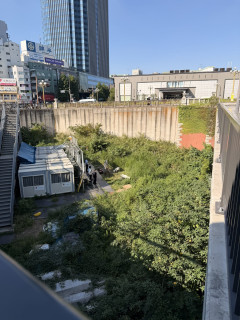 【朗報】四ツ谷のヤギ2頭、2週間で雑草を一掃→「人間より効率的」の声