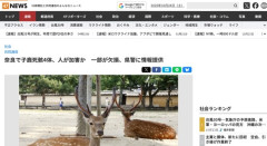 奈良で体の一部が欠損した子鹿の死骸4体発見　人に食べられたもよう