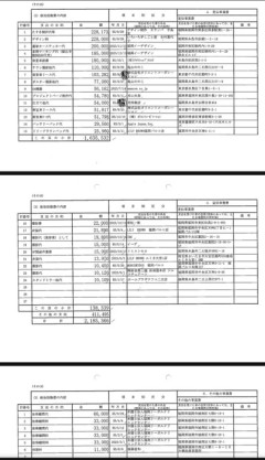 いのち奥田ふみよ、たすき代２２万　バッグ、衣装、美容院、スタンドミラー代も政治活動費に計上