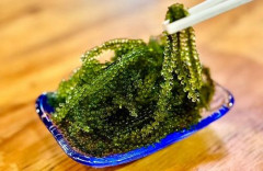 【画像】「スーパーで売ってる『海ぶどう』は水槽で飼育すると増えるのか？」　→　実際に検証した動画がとんでもない再生数にｗｗｗｗ