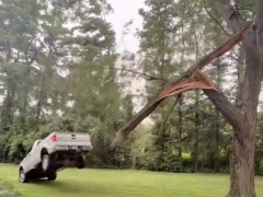 裂けた幹にトラックが持ち上げられ、大木が2階建ての家を押しつぶす、木の伐採の失敗集【海外の反応】