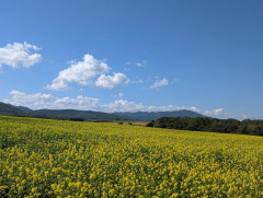 【画像】北海道を旅して「飽きた」と言ってた結果ｗｗｗ