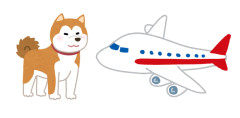 えっ？最近の子供って「飛行機は犬でできている」という文章の意味が通るかどうかわからないの？？？