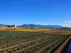 親戚が「奥さんの実家の隣の土地をもらってそこに家を建てるから土地代が浮いて良かった」と喜んでた。→新築祝いで訪ねたら…