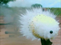 大砲で撃たれたスイカ、スローで見ると白い綿のかたまりに「熟れてるか確かめるにしては変わったやり方だな」【海外の反応】