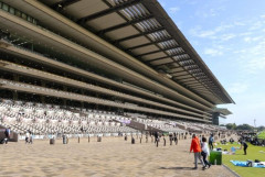 みんな競馬やってる？明日初めて競馬場行くんだけど