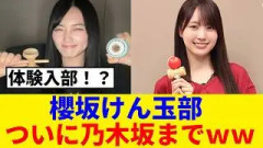 【櫻坂46】櫻坂けん玉部、ついに乃木坂46にまでｗｗｗ