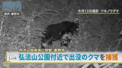 神奈川県秦野市、クマ「駆除せず放獣」市の対応に称賛の声　なぜ捕殺しない？再出没なら？市が明かした対応方針　10/24