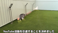【悲報】もちまる日記、Youtube引退へ