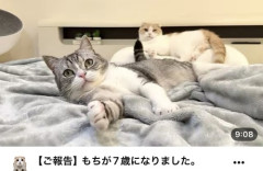 【悲報】もちまる日記、YouTube活動引退へｗｗｗｗ
