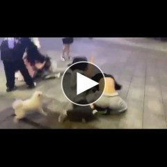 【動画】女さん同士の喧嘩、激しすぎておっ◯いはみ出