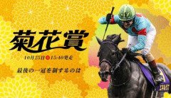 【悲報】●菊花賞2026対策本部ｗｗｗｗｗｗｗｗｗｗ