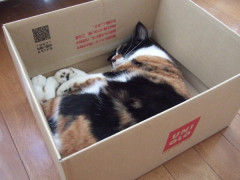 【画像】 ユニクロの秋冬物が届いた  季節先取りしすぎたかも【再】