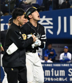 山本祐大、左前腕部に150キロの死球も「明日(25日)も出たい」と気迫のコメント