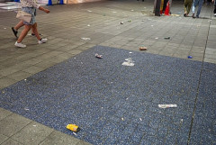 「ポイ捨て摘発者の4人に1人が外国人」渋谷で3カ月に1500人摘発…観光客4000万人時代の“ごみ問題”