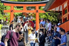 【朗報】京都、死ぬほど外国人観光客が多いwwwww
