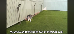 数々のネコ虐待疑惑で炎上した”もちまる日記”終了　既に○○説も