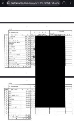 いのちの党・奥田ふみよ氏「たすき代22万円」美容院やバッグ代も“政治資金”計上で「税金の私的流用」批判殺到　(週刊女性