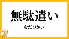 【急募】これに金払ってる奴マジで馬鹿やろってモノ挙げてけｗｗｗｗｗｗｗｗｗｗ