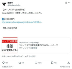 クマ「駆除せず放獣」秦野市の対応に称賛の声　なぜ捕殺しない？再出没なら？市が明かした対応方針