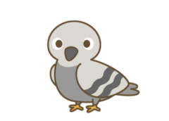 【画像】ハトの巣、適当すぎワロタｗｗｗｗｗｗｗ