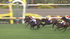 菊花賞を制したのはゴーイントゥスカイ!武豊騎手は菊花賞6勝目!ロブチェンは三冠ならず【ウマ娘民の反応】