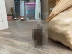 床に危険な生き物が現れた。きゃ～っ！ → 思わず変な声が出てしまいます…