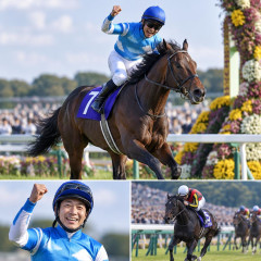 菊花賞(京都・G1) ゴーイントゥスカイが最後の1冠を制す！ 武豊は菊花賞最多！ 3冠ならずロブチェン14着   #競馬 |  インタビューで「空気読めなくてすいません」って言ってたな
