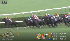 【競馬】菊花賞14着　ロブチェンとはなんだったのか