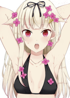 【艦これ】深夜の腋画像スレ