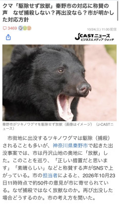 放獣したツキノワグマさん、4日後に再び出現ｗｗｗｗｗｗｗｗ