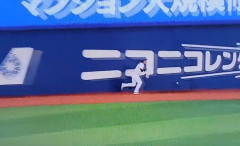 昨日の度会の落球WWWWWWWWWWWWWWWWWWWWWWWWWWWWWWWWWWWW