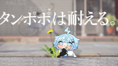 【耐久力】水宮枢:タンポポは耐える。忍耐の水宮が魅せるの極意とは?