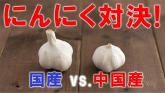 【困惑】中国産にんにく(3個98円)青森産にんにく(1個298円)wwwwwwwwww